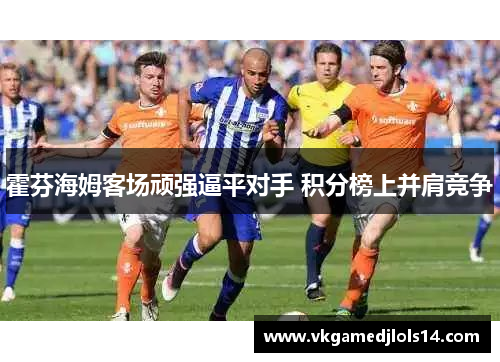 霍芬海姆客场顽强逼平对手 积分榜上并肩竞争