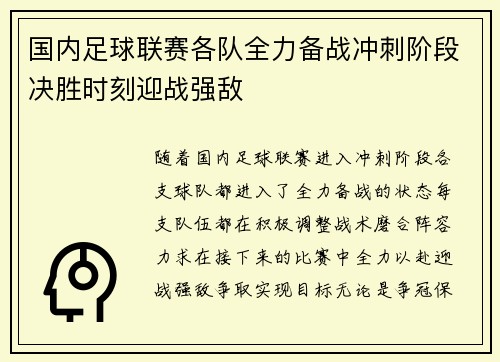 国内足球联赛各队全力备战冲刺阶段决胜时刻迎战强敌