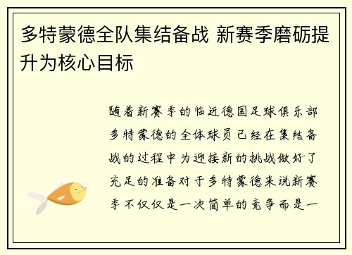 多特蒙德全队集结备战 新赛季磨砺提升为核心目标