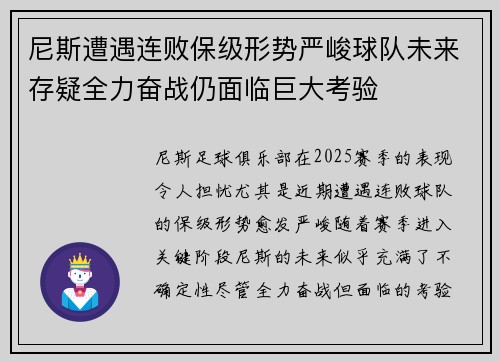 尼斯遭遇连败保级形势严峻球队未来存疑全力奋战仍面临巨大考验