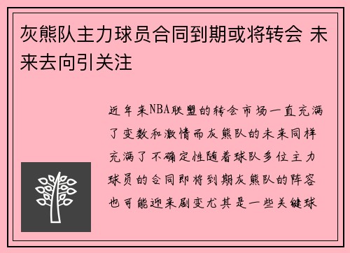 灰熊队主力球员合同到期或将转会 未来去向引关注